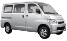 Thrubus